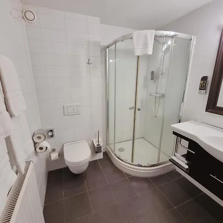 Saillant Gulpenerland - Auping Partner 4*